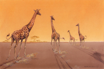 Bild Vier Giraffen im Sonnenuntergang von Uli Aschenborn